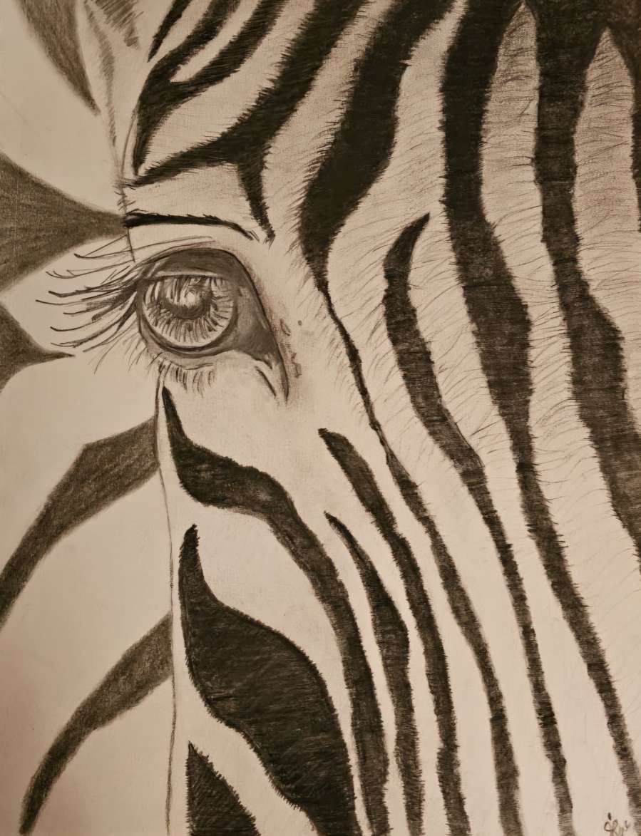 Stripe
